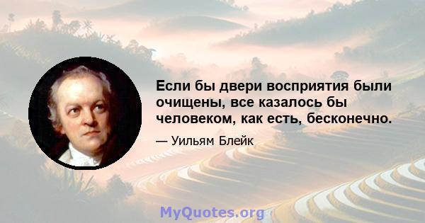 Если бы двери восприятия были очищены, все казалось бы человеком, как есть, бесконечно.