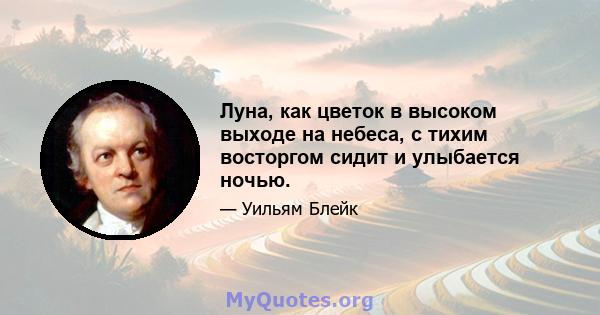 Луна, как цветок в высоком выходе на небеса, с тихим восторгом сидит и улыбается ночью.