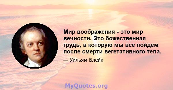 Мир воображения - это мир вечности. Это божественная грудь, в которую мы все пойдем после смерти вегетативного тела.