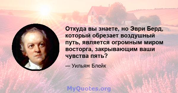 Откуда вы знаете, но Эври Берд, который обрезает воздушный путь, является огромным миром восторга, закрывающим ваши чувства пять?