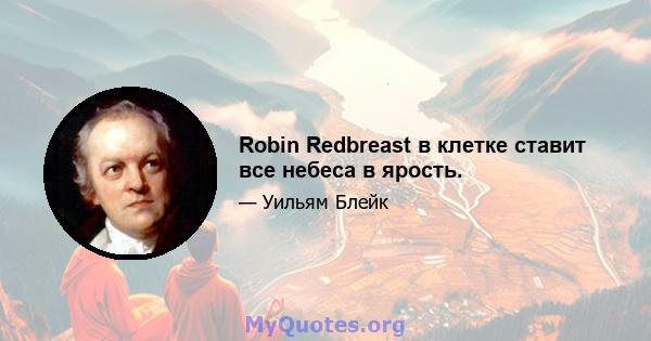 Robin Redbreast в клетке ставит все небеса в ярость.