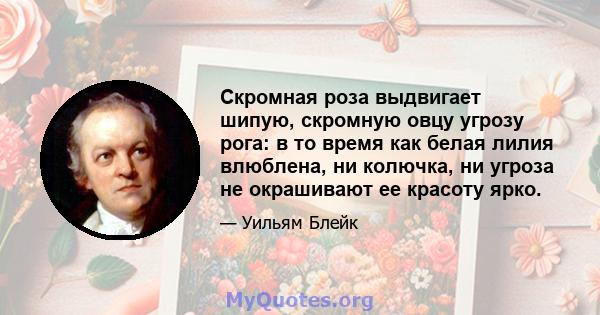 Скромная роза выдвигает шипую, скромную овцу угрозу рога: в то время как белая лилия влюблена, ни колючка, ни угроза не окрашивают ее красоту ярко.