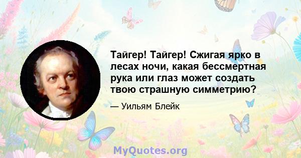 Тайгер! Тайгер! Сжигая ярко в лесах ночи, какая бессмертная рука или глаз может создать твою страшную симметрию?