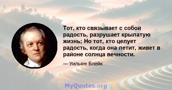 Тот, кто связывает с собой радость, разрушает крылатую жизнь; Но тот, кто целует радость, когда она летит, живет в районе солнца вечности.