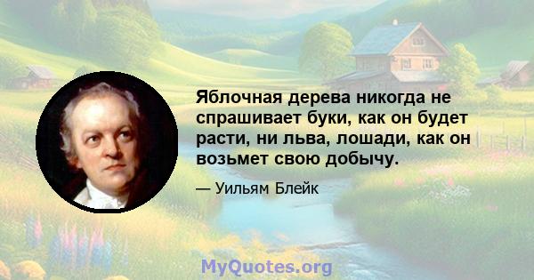 Яблочная дерева никогда не спрашивает буки, как он будет расти, ни льва, лошади, как он возьмет свою добычу.