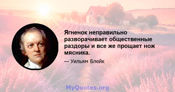 Ягненок неправильно разворачивает общественные раздоры и все же прощает нож мясника.