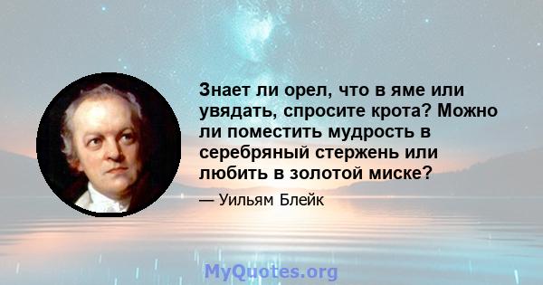 Знает ли орел, что в яме или увядать, спросите крота? Можно ли поместить мудрость в серебряный стержень или любить в золотой миске?