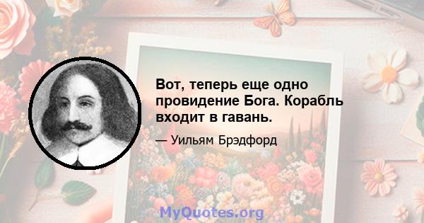 Вот, теперь еще одно провидение Бога. Корабль входит в гавань.