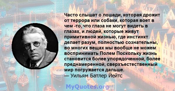 Часто слышат о лошади, которая дрожит от террора или собаки, которая воет в чем -то, что глаза не могут видеть в глазах, и людей, которые живут примитивной жизнью, где инстинкт делает разум, полностью сознательны, во