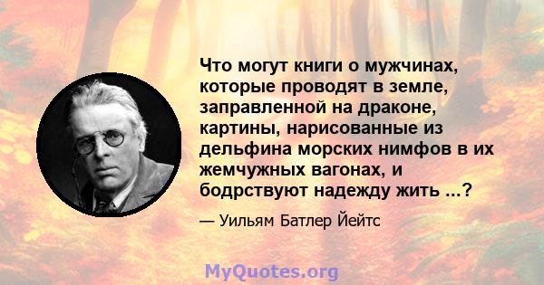 Что могут книги о мужчинах, которые проводят в земле, заправленной на драконе, картины, нарисованные из дельфина морских нимфов в их жемчужных вагонах, и бодрствуют надежду жить ...?