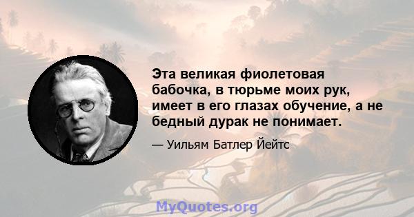 Эта великая фиолетовая бабочка, в тюрьме моих рук, имеет в его глазах обучение, а не бедный дурак не понимает.