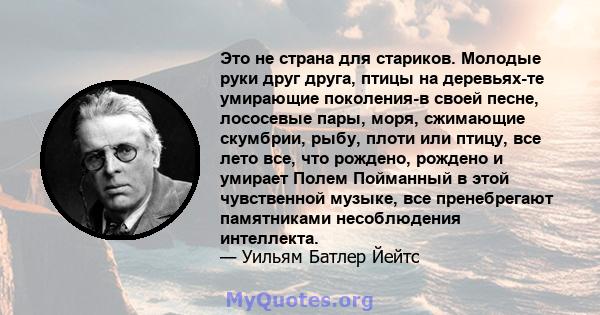 Это не страна для стариков. Молодые руки друг друга, птицы на деревьях-те умирающие поколения-в своей песне, лососевые пары, моря, сжимающие скумбрии, рыбу, плоти или птицу, все лето все, что рождено, рождено и умирает