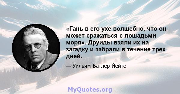 «Гань в его ухе волшебно, что он может сражаться с лошадьми моря». Друиды взяли их на загадку и забрали в течение трех дней.