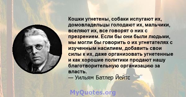 Кошки угнетены, собаки испугают их, домовладельцы голодают их, мальчики, вселяют их, все говорят о них с презрением. Если бы они были людьми, мы могли бы говорить о их угнетателях с изученным насилием, добавить свои