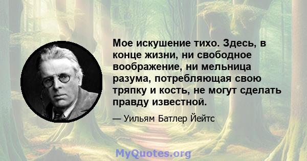 Мое искушение тихо. Здесь, в конце жизни, ни свободное воображение, ни мельница разума, потребляющая свою тряпку и кость, не могут сделать правду известной.