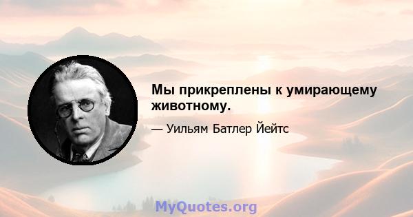 Мы прикреплены к умирающему животному.