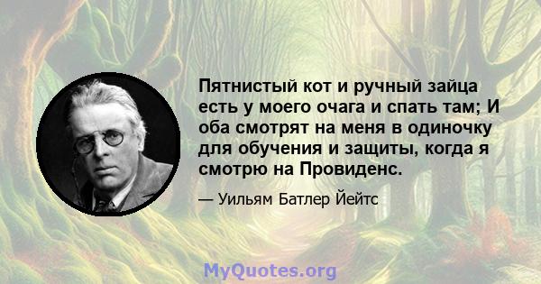 Пятнистый кот и ручный зайца есть у моего очага и спать там; И оба смотрят на меня в одиночку для обучения и защиты, когда я смотрю на Провиденс.