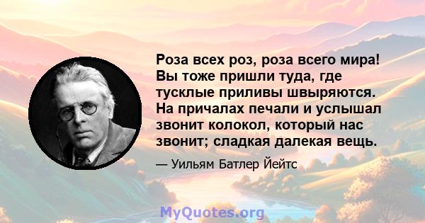 Роза всех роз, роза всего мира! Вы тоже пришли туда, где тусклые приливы швыряются. На причалах печали и услышал звонит колокол, который нас звонит; сладкая далекая вещь.