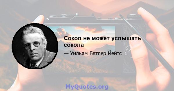 Сокол не может услышать сокола