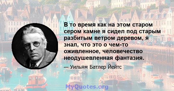 В то время как на этом старом сером камне я сидел под старым разбитым ветром деревом, я знал, что это о чем-то оживленное, человечество неодушевленная фантазия.