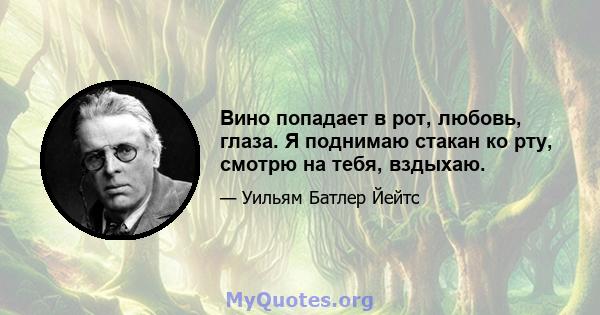 Вино попадает в рот, любовь, глаза. Я поднимаю стакан ко рту, смотрю на тебя, вздыхаю.