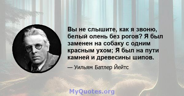 Вы не слышите, как я звоню, белый олень без рогов? Я был заменен на собаку с одним красным ухом; Я был на пути камней и древесины шипов.