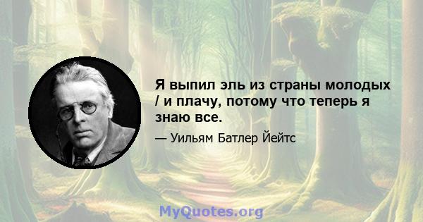 Я выпил эль из страны молодых / и плачу, потому что теперь я знаю все.