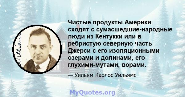 Чистые продукты Америки сходят с сумасшедшие-народные люди из Кентукки или в ребристую северную часть Джерси с его изоляционными озерами и долинами, его глухими-мутами, ворами.