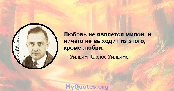 Любовь не является милой, и ничего не выходит из этого, кроме любви.