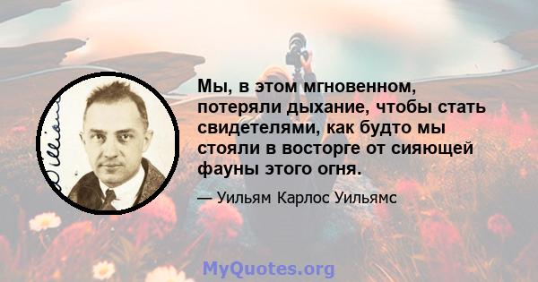 Мы, в этом мгновенном, потеряли дыхание, чтобы стать свидетелями, как будто мы стояли в восторге от сияющей фауны этого огня.