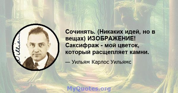 Сочинять. (Никаких идей, но в вещах) ИЗОБРАЖЕНИЕ! Саксифраж - мой цветок, который расщепляет камни.