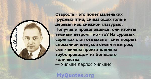 Старость - это полет маленьких грудных птиц, снимающих голые деревья над снежной глазурью. Получив и провалившись, они избиты темным ветром - но что? На суровых сорняках стая отдыхала - снег покрыт сломанной шелухой