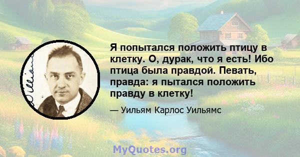 Я попытался положить птицу в клетку. О, дурак, что я есть! Ибо птица была правдой. Певать, правда: я пытался положить правду в клетку!