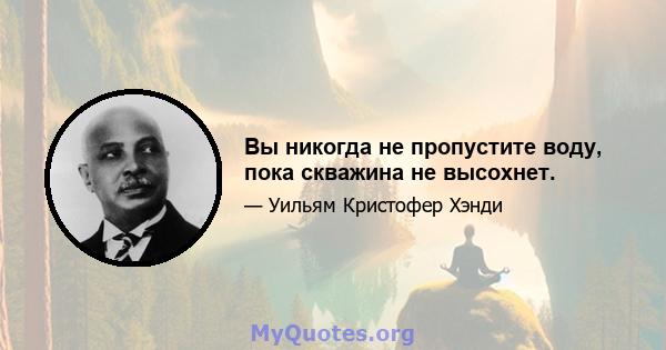 Вы никогда не пропустите воду, пока скважина не высохнет.