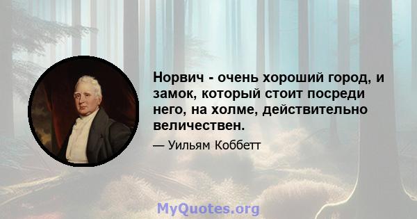 Норвич - очень хороший город, и замок, который стоит посреди него, на холме, действительно величествен.