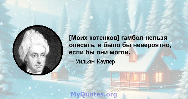 [Моих котенков] гамбол нельзя описать, и было бы невероятно, если бы они могли.