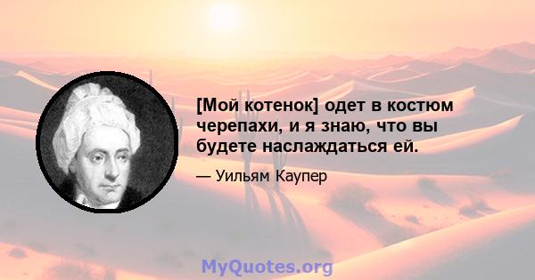 [Мой котенок] одет в костюм черепахи, и я знаю, что вы будете наслаждаться ей.