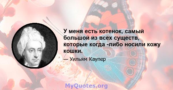 У меня есть котенок, самый большой из всех существ, которые когда -либо носили кожу кошки.