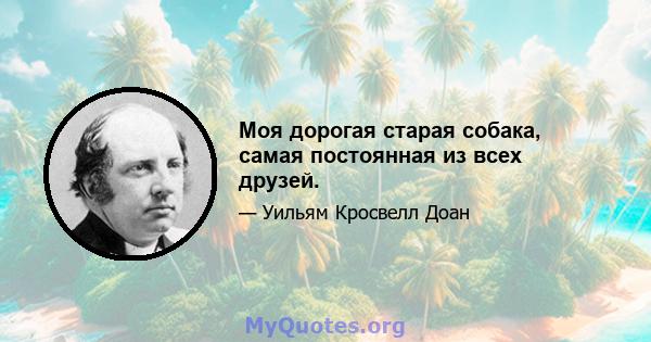 Моя дорогая старая собака, самая постоянная из всех друзей.