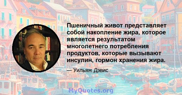 Пшеничный живот представляет собой накопление жира, которое является результатом многолетнего потребления продуктов, которые вызывают инсулин, гормон хранения жира.