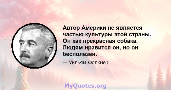 Автор Америки не является частью культуры этой страны. Он как прекрасная собака. Людям нравится он, но он бесполезен.