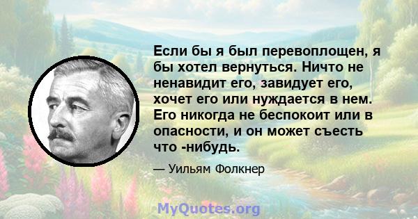 Если бы я был перевоплощен, я бы хотел вернуться. Ничто не ненавидит его, завидует его, хочет его или нуждается в нем. Его никогда не беспокоит или в опасности, и он может съесть что -нибудь.