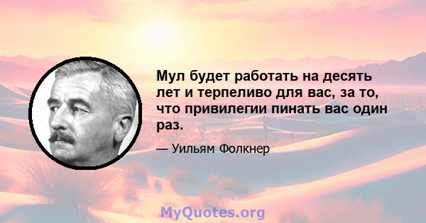 Мул будет работать на десять лет и терпеливо для вас, за то, что привилегии пинать вас один раз.