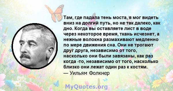 Там, где падала тень моста, я мог видеть вниз на долгий путь, но не так далеко, как дно. Когда вы оставляете лист в воде через некоторое время, ткань исчезнет, ​​а нежные волокна размахивают медленно по мере движения