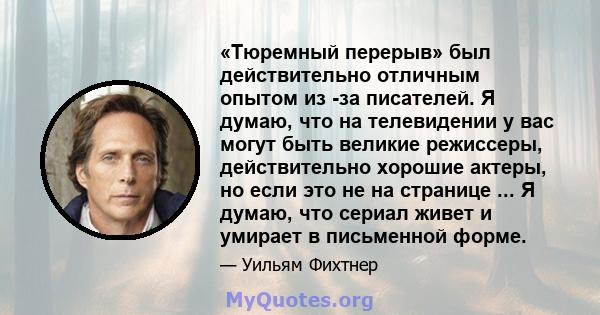 «Тюремный перерыв» был действительно отличным опытом из -за писателей. Я думаю, что на телевидении у вас могут быть великие режиссеры, действительно хорошие актеры, но если это не на странице ... Я думаю, что сериал