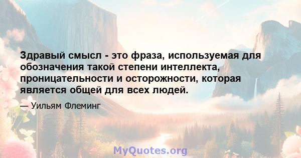 Здравый смысл - это фраза, используемая для обозначения такой степени интеллекта, проницательности и осторожности, которая является общей для всех людей.