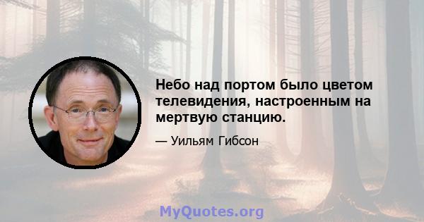 Небо над портом было цветом телевидения, настроенным на мертвую станцию.