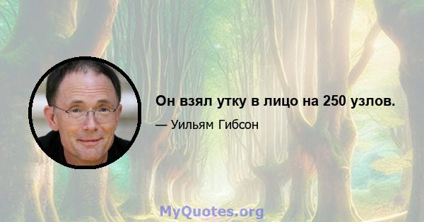 Он взял утку в лицо на 250 узлов.