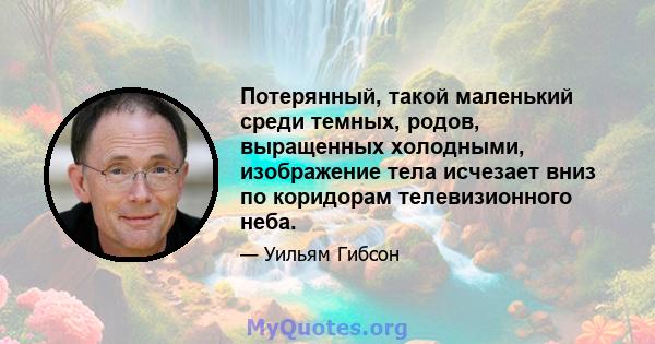 Потерянный, такой маленький среди темных, родов, выращенных холодными, изображение тела исчезает вниз по коридорам телевизионного неба.