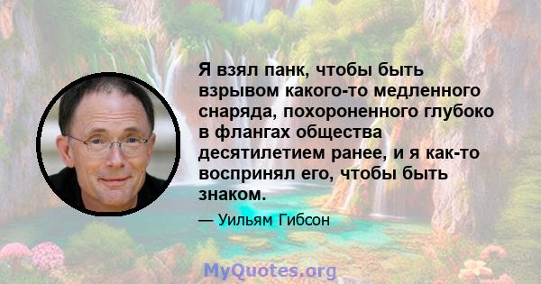 Я взял панк, чтобы быть взрывом какого-то медленного снаряда, похороненного глубоко в флангах общества десятилетием ранее, и я как-то воспринял его, чтобы быть знаком.